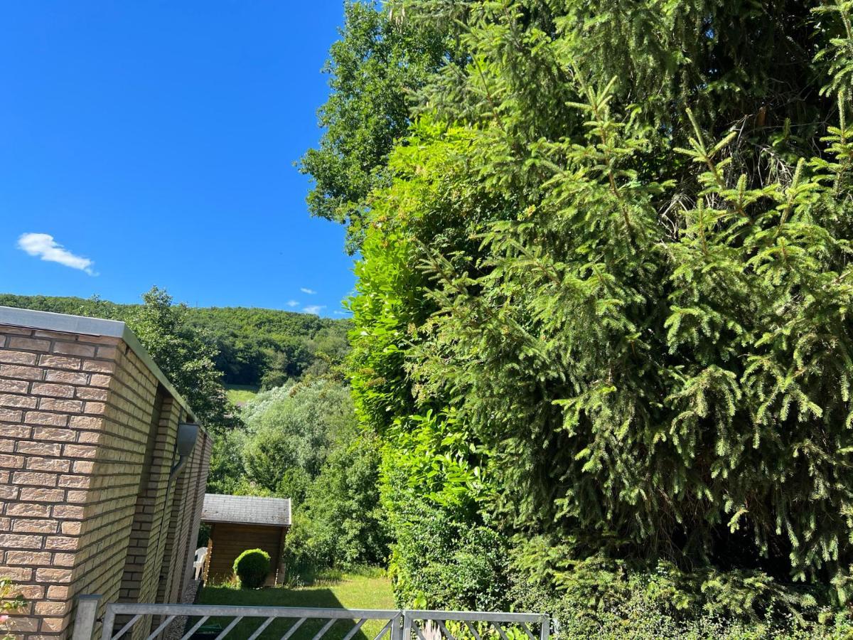 Gaestehaus Zum Buchenweg Hasenfeld Luaran gambar